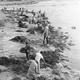Illustration for article titled Not Again: How a 1969 Oil Spill Devastated the Santa Barbara Coast